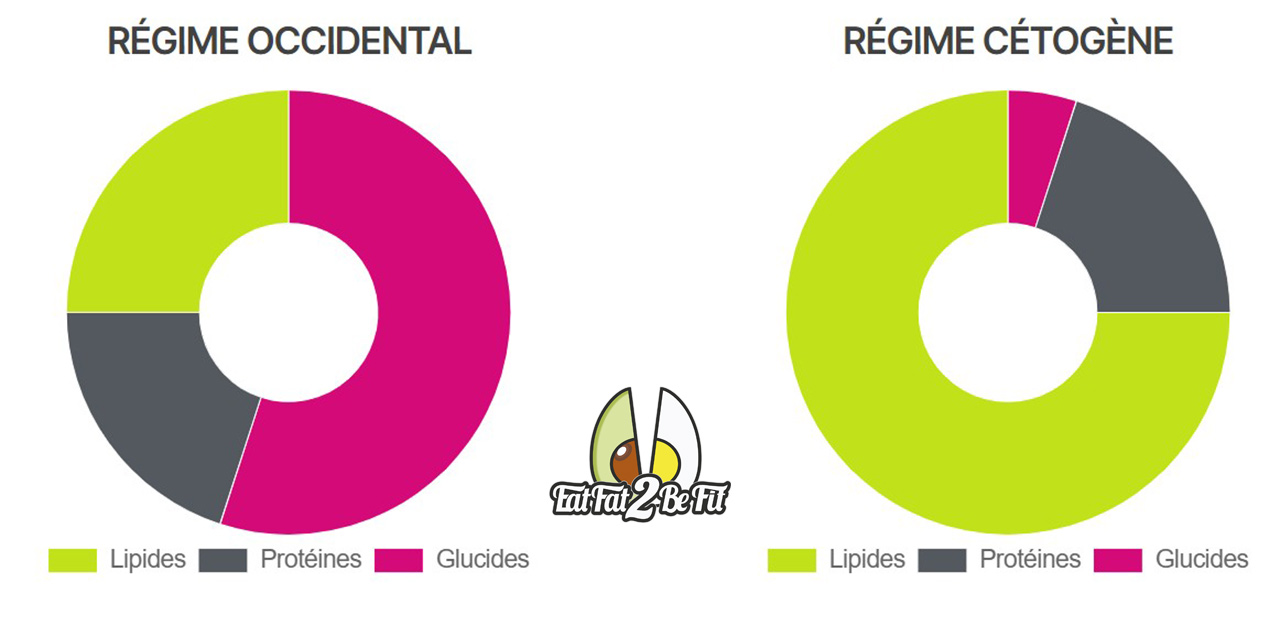 ratios cetogene occident