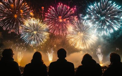 spectators enjoying vibrant fireworks display in night sky