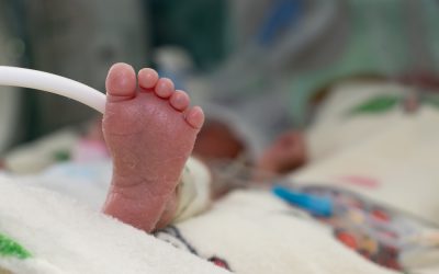close up details of a premature foot still in an incubator at the nicu