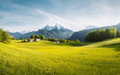 idyllic landscape in the alps with blooming meadows in springtime