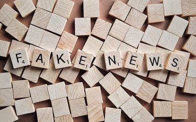 fake-2355686_960_720